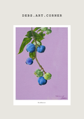 Blueberries