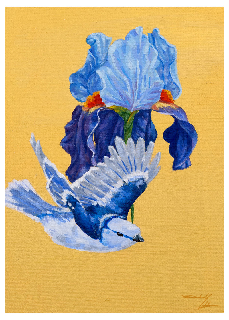 Azure Tit & Blue Iris