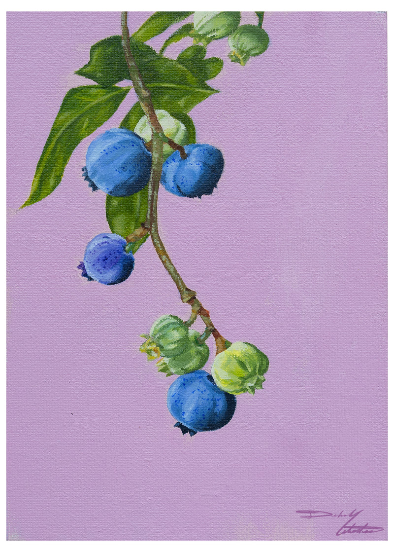 Blueberries