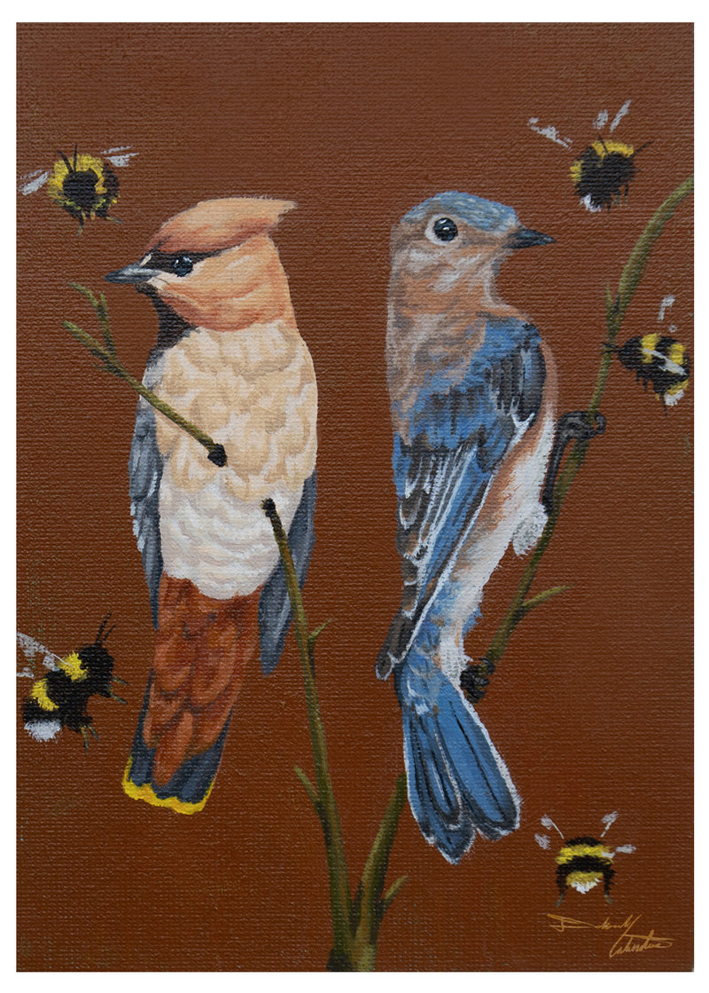 Bohemian Waxwing & Eastern Bluebird