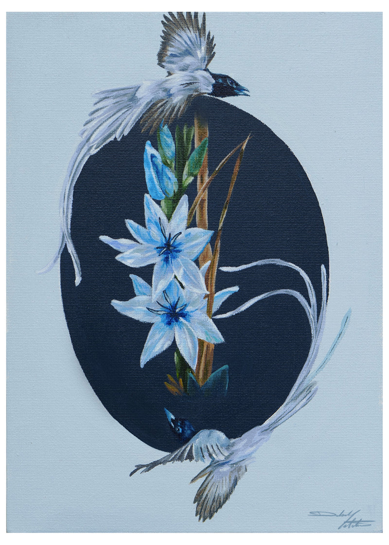Indian Paradise Flycatcher & Ixia Corn Lily