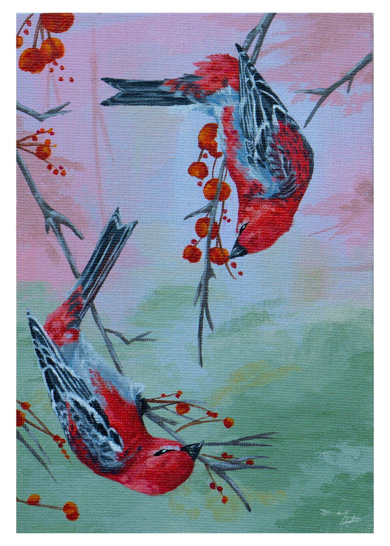 Pine Grosbeak