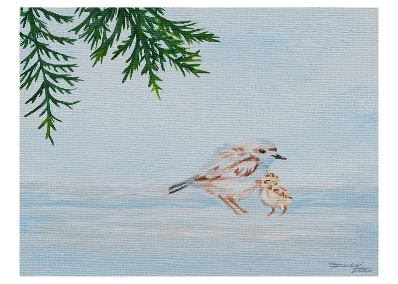 Snowy Plover