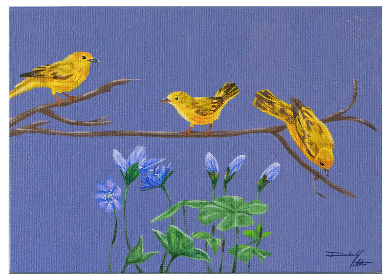 Yellow Warblers & Hepatica Liverwort