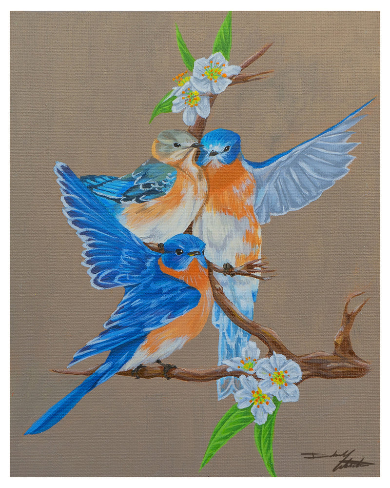 Eastern Bluebirds