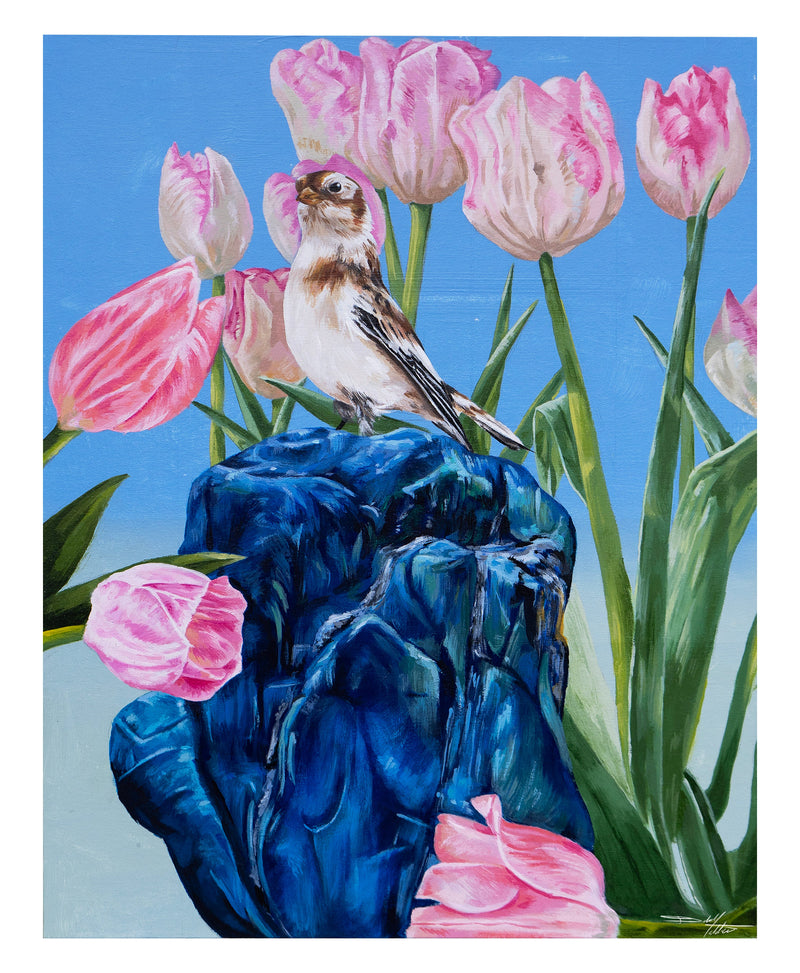 Spring Tulips