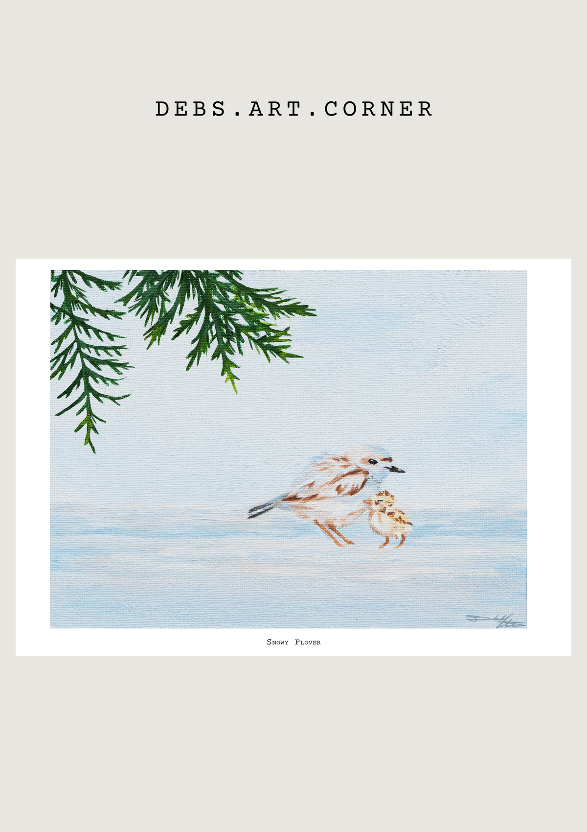 Snowy Plover Print