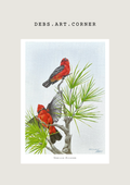 Vermillion Flycatcher Print
